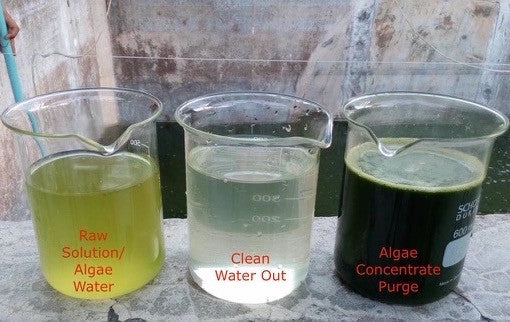Industrial Algae Centrifuge - Manual Purge