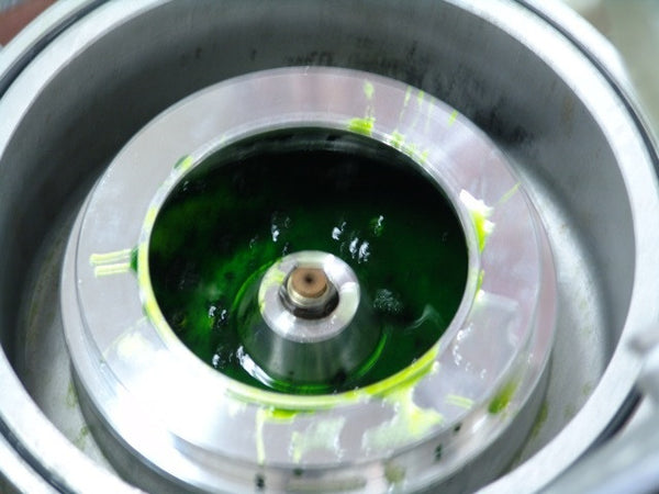 Basic Algae Centrifuge 120V/230V